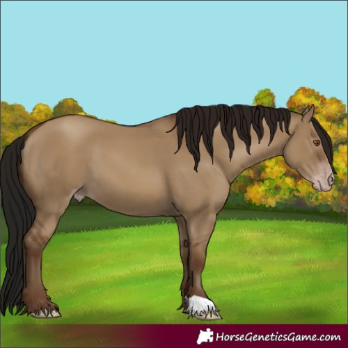 Horse Color:Gray Classic Champagne Dun