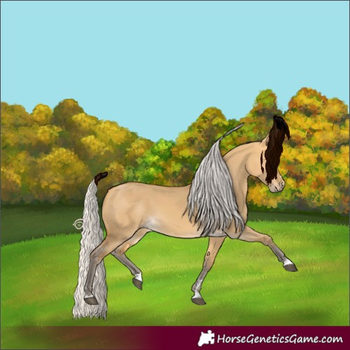 Horse Color:Silver Buckskin Dun 