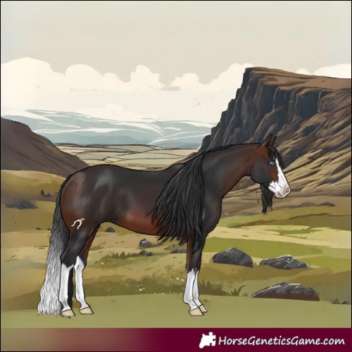 Horse Color:Brown Splash 