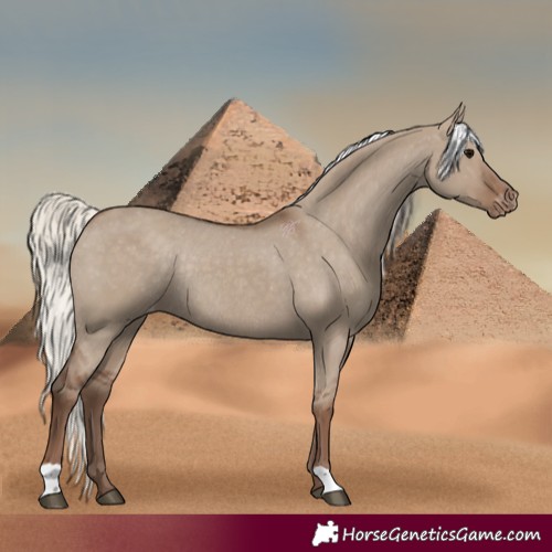 Horse Color:Silver Grullo Varnish Rabicano