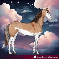 Horse Color:Bay Dun Splash Frame Varnish 