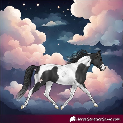 Horse Color:Black Tobiano 