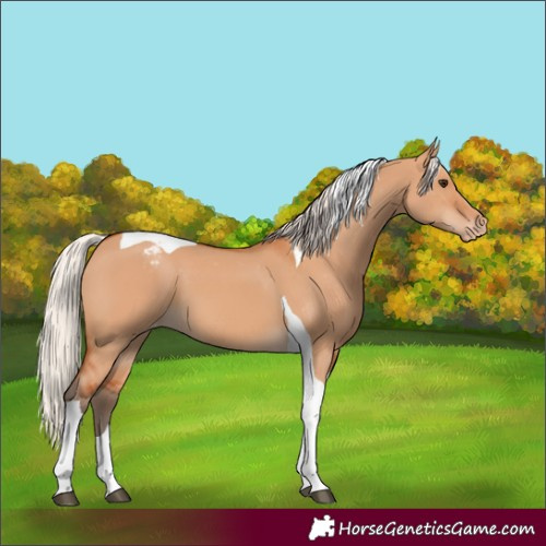 Horse Color:Silver Bay Dun Tobiano Varnish