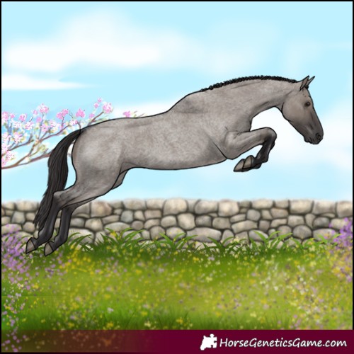 Horse Color:Smoky Grullo Roan