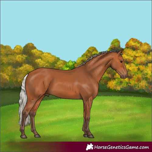 Horse Color:Silver Bay