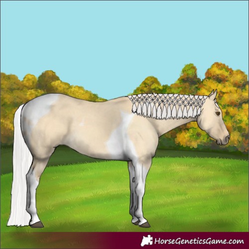 Horse Color:Silver Buckskin Dun Tobiano