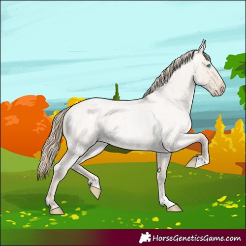 Horse Color:Smoky Creme Roan Dun 
