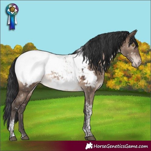 Horse Color:Brown Dun Tobiano Appaloosa Rabicano 