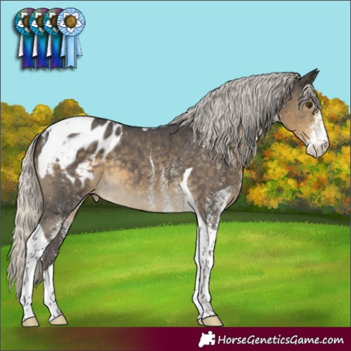 Horse Color:White Spotted Silver Smoky Black Mushroom Tobiano Appaloosa 