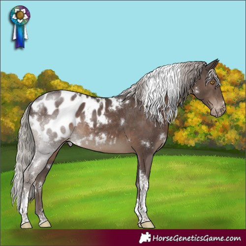 Horse Color:White Spotted Silver Black Tobiano Appaloosa Rabicano