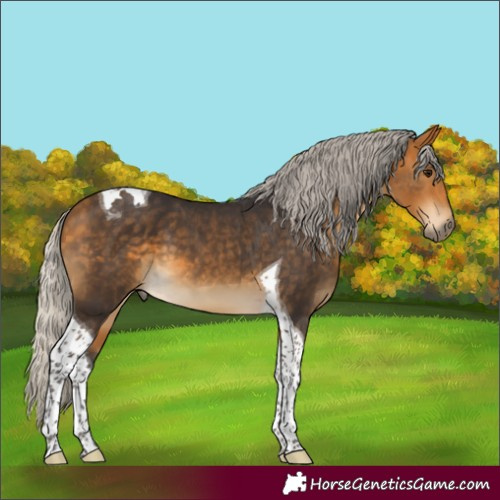 Horse Color:Silver Buckskin Tobiano