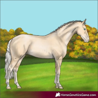 Horse Color:Silver Buckskin Pearl