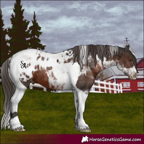 Horse Color:Liver Chestnut Tobiano Blanket