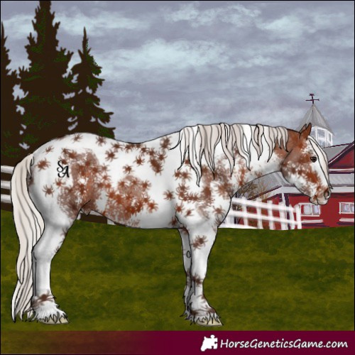 Horse Color:Silver Bay Sabino Tobiano 