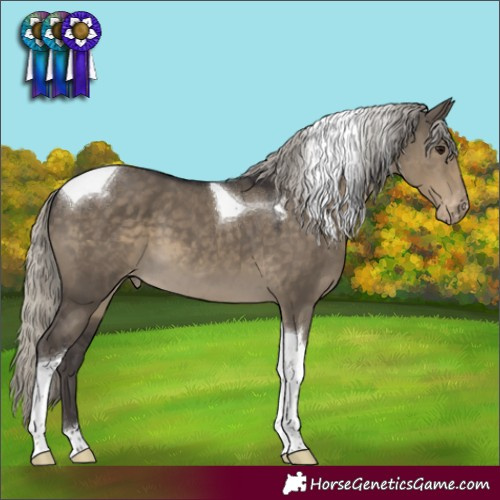 Horse Color:Silver Smoky Grullo Tobiano Appaloosa 