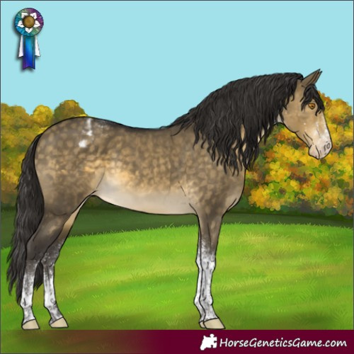 Horse Color:White Spotted Buckskin Dun Mushroom Tobiano Appaloosa