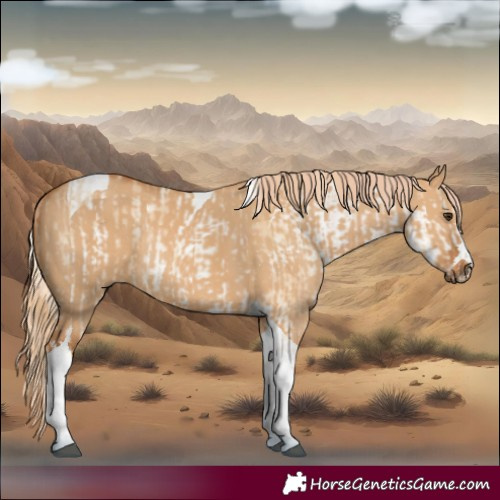 Horse Color:White Spotted Red Dun Rabicano and Red Dun Tobiano Rabicano
