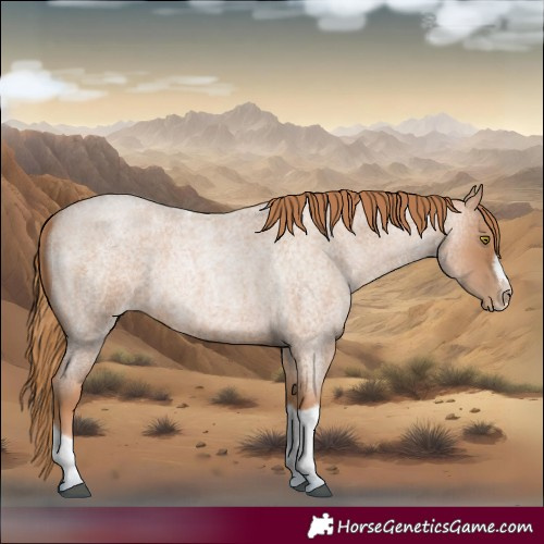 Horse Color:Red Roan Pearl Tobiano Frame