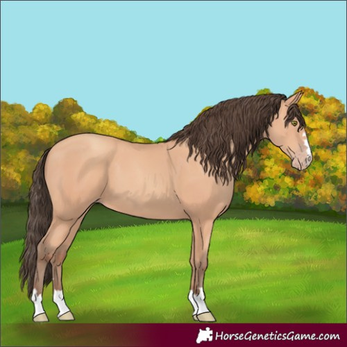 Horse Color:Unknown 