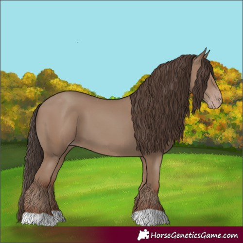 Horse Color:Unknown 