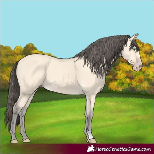 Horse Color:Amber Cream Champagne