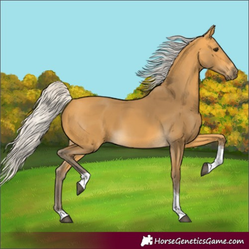 Horse Color:Silver Buckskin Tobiano