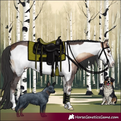 Horse Color:Brown Onyx Frame