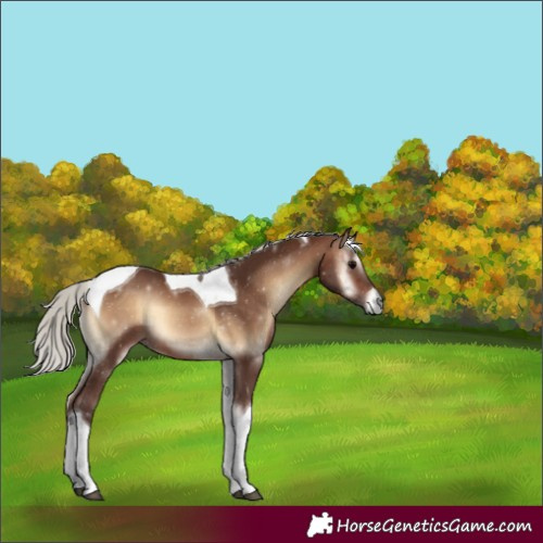 Horse Color:Silver Brown Onyx Tobiano