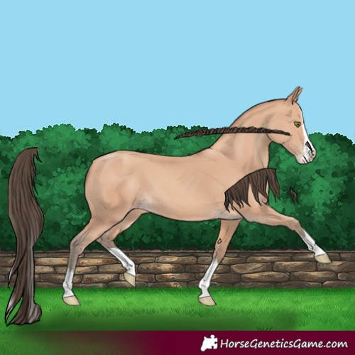 Horse Color:Amber Champagne Splash