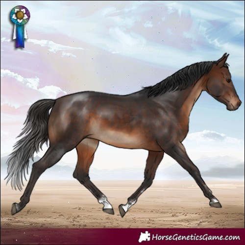 Horse Color:Brown Rabicano