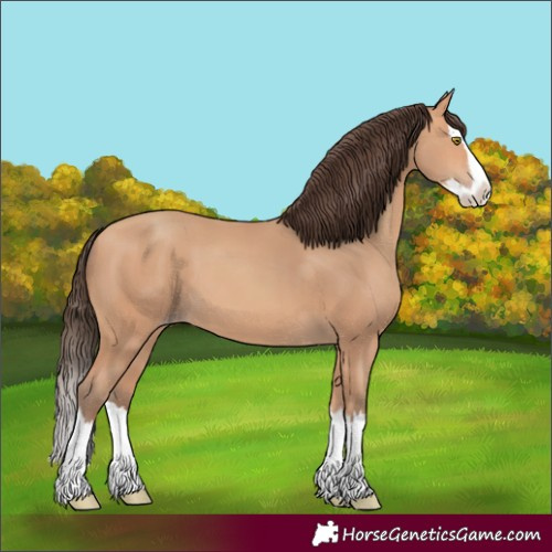 Horse Color:Amber Champagne Splash