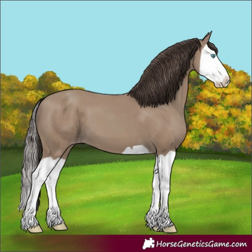 Horse Color:Classic Champagne Splash