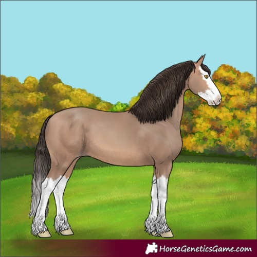 Horse Color:Amber Champagne Splash