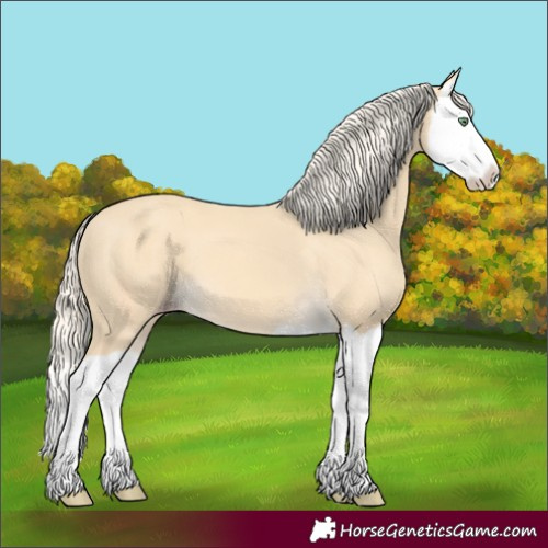Horse Color:Gold Cream Champagne Splash