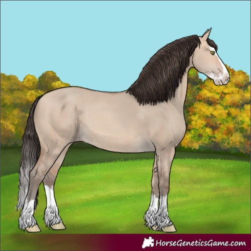Horse Color:Amber Champagne Dun Splash 