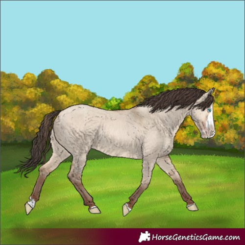 Horse Color:Amber Champagne Dun Splash