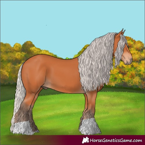 Horse Color:Silver Bay