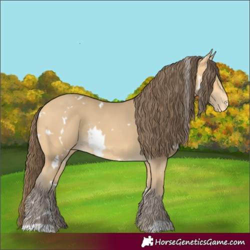 Horse Color:White Spotted Amber Cream Champagne Varnish Rabicano