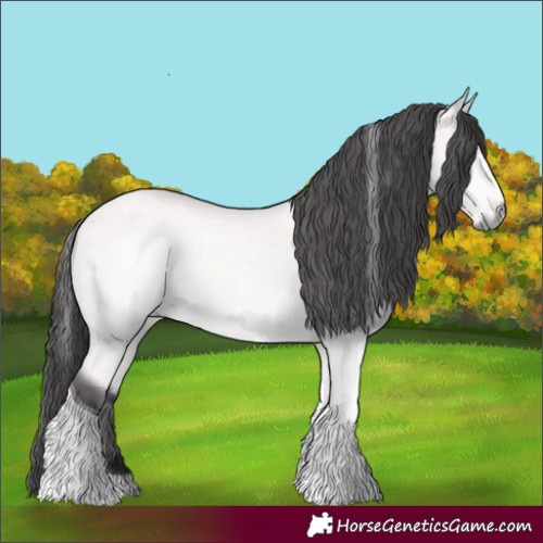 Horse Color:Platinum White Spotted Buckskin Tobiano