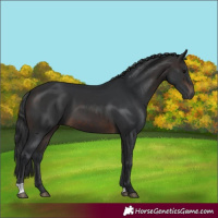 Horse Color:Brown 