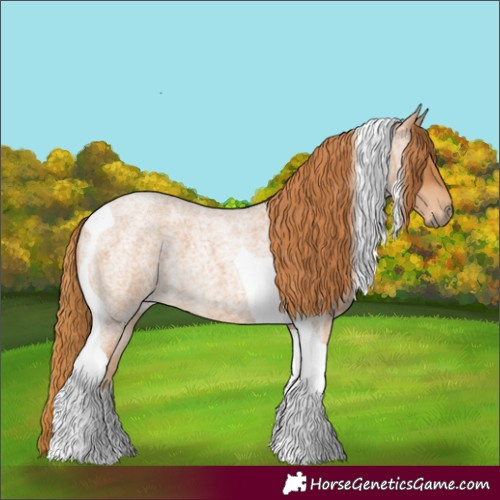 Horse Color:Red Roan Tobiano 