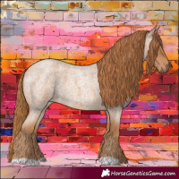 Horse Color:Red Roan