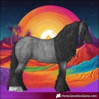 Horse Color:Blue Roan