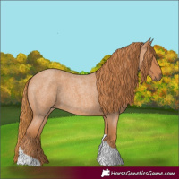 Horse Color:Red Roan Tobiano 