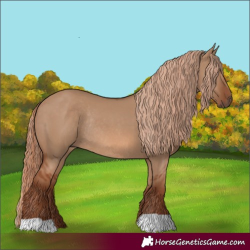 Horse Color:Red Dun Rabicano 