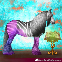 Horse Color:Gray Black