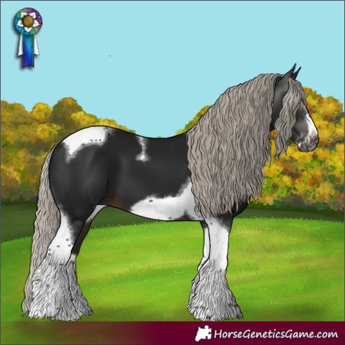 Horse Color:Gray White Spotted Silver Brown Splash Tobiano Frame 