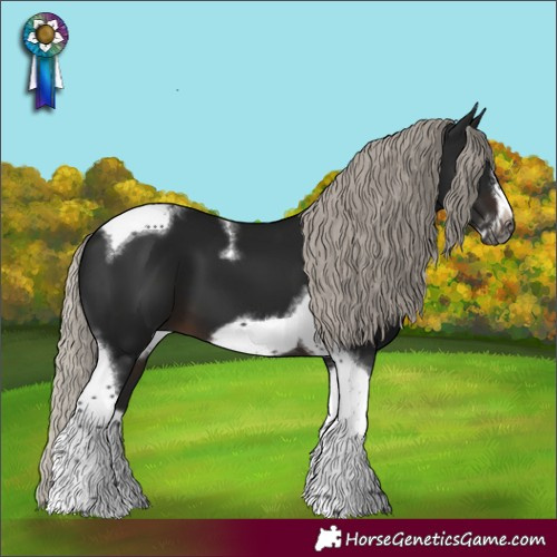 Horse Color:Gray White Spotted Silver Brown Splash Tobiano Frame