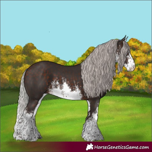 Horse Color:White Spotted Silver Brown