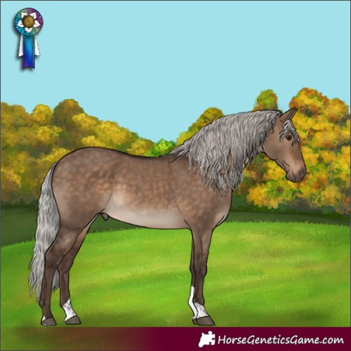 Horse Color:White Spotted Silver Brown Dun Tobiano Rabicano 